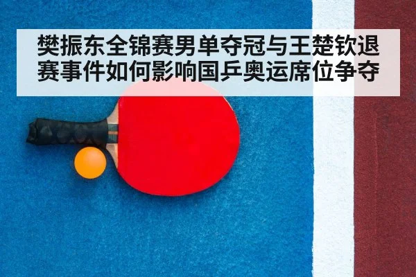 ping pong racket